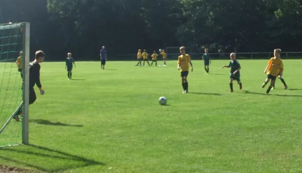 03.09.2017 JSG Heidekicker vs. Grün-Weiß Annaburg