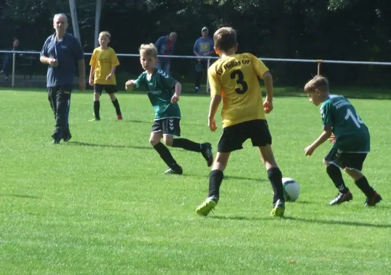 03.09.2017 JSG Heidekicker vs. Grün-Weiß Annaburg