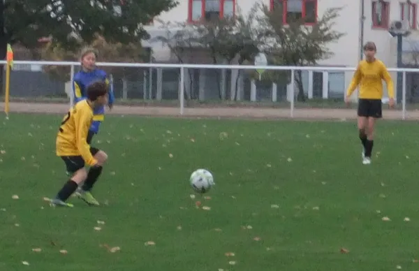 21.10.2017 VfB Gräfenhainichen vs. JSG Heidekicker