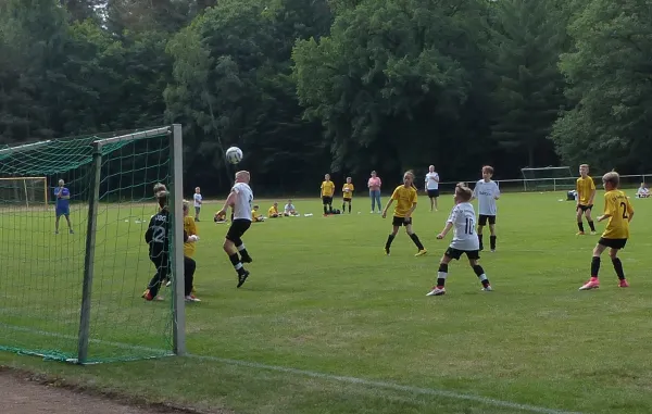 16.06.2018 JSG Heidekicker vs. SV Allemannia Jessen