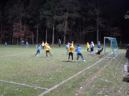 23.11.2017 JSG Heidekicker vs. Blau-Weiß 90 Prettin