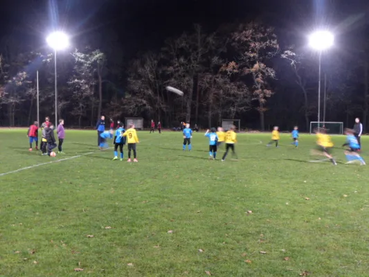 23.11.2017 JSG Heidekicker vs. Blau-Weiß 90 Prettin