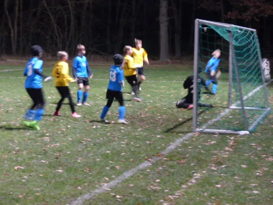 23.11.2017 JSG Heidekicker vs. Blau-Weiß 90 Prettin
