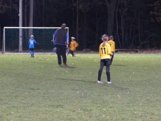 23.11.2017 JSG Heidekicker vs. Blau-Weiß 90 Prettin