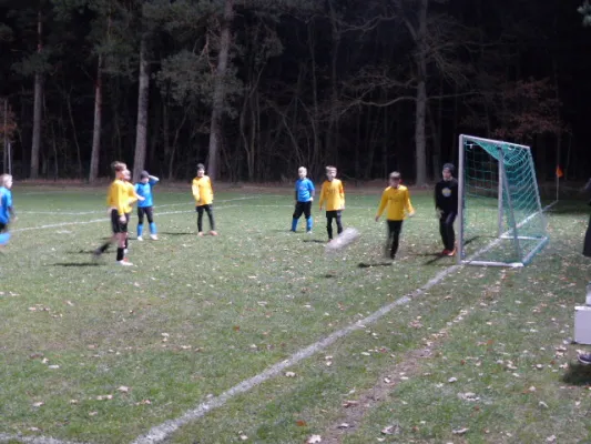 23.11.2017 JSG Heidekicker vs. Blau-Weiß 90 Prettin