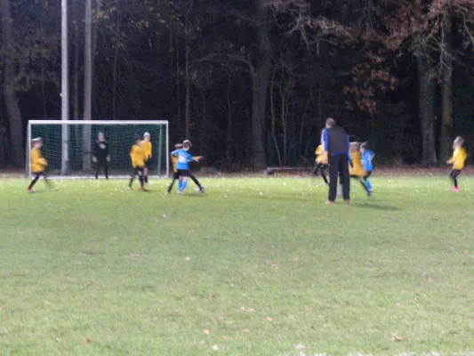 23.11.2017 JSG Heidekicker vs. Blau-Weiß 90 Prettin