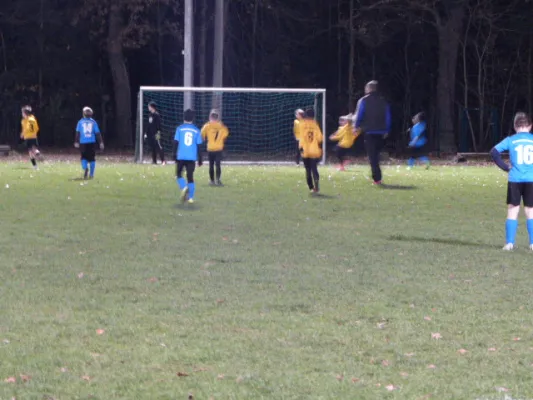 23.11.2017 JSG Heidekicker vs. Blau-Weiß 90 Prettin