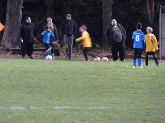 23.11.2017 JSG Heidekicker vs. Blau-Weiß 90 Prettin