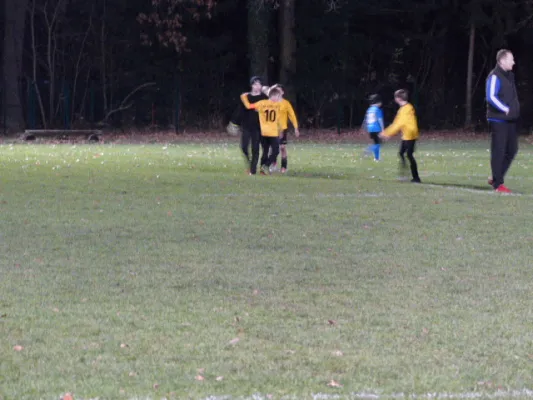 23.11.2017 JSG Heidekicker vs. Blau-Weiß 90 Prettin