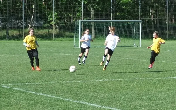 05.05.2018 SV Allemannia Jessen vs. JSG Heidekicker