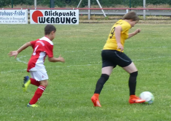 02.06.2018 Wittenberg/Reinsdorf vs. JSG Heidekicker