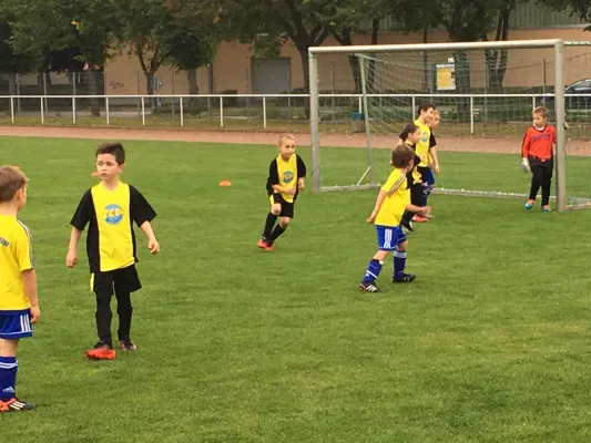 28.09.2017 VfB Gräfenhainichen vs. JSG Heidekicker