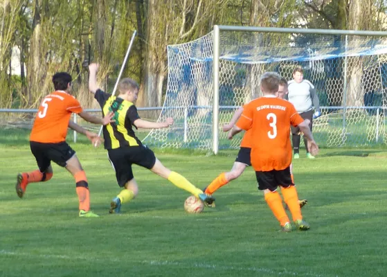 17.04.2018 Waldersee/Mildensee vs. JSG Heidekicker