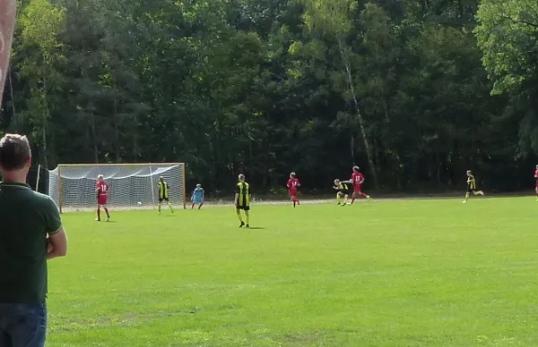 11.08.2018 JSG Heidekicker vs. SV Dessau 05