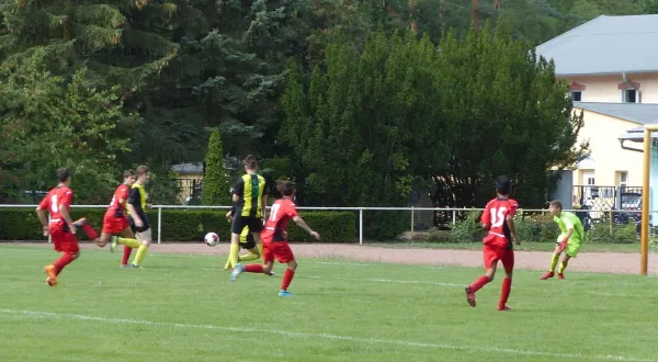 11.08.2018 JSG Heidekicker vs. SV Dessau 05