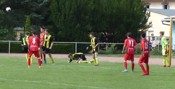 11.08.2018 JSG Heidekicker vs. SV Dessau 05