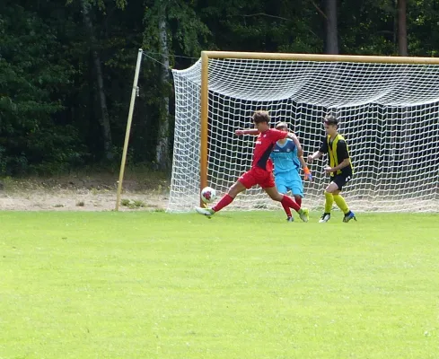 11.08.2018 JSG Heidekicker vs. SV Dessau 05