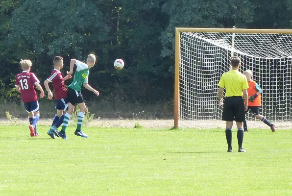 19.08.2018 JSG Heidekicker vs. VfL Halle 96 e.V.