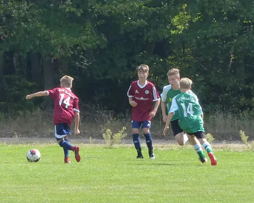 19.08.2018 JSG Heidekicker vs. VfL Halle 96 e.V.