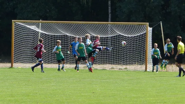 19.08.2018 JSG Heidekicker vs. VfL Halle 96 e.V.