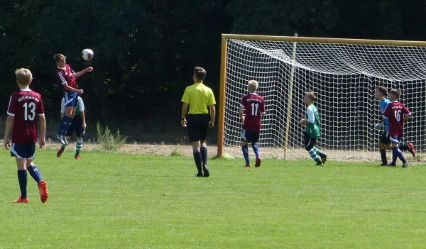 19.08.2018 JSG Heidekicker vs. VfL Halle 96 e.V.