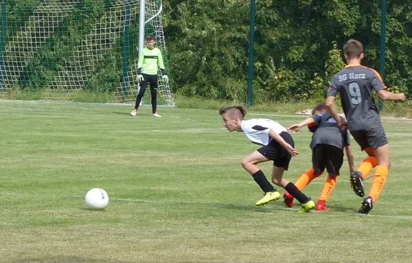 12.08.2018 SG Harz I vs. JSG Heidekicker