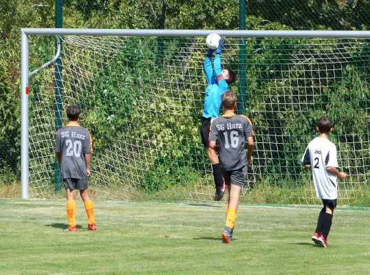 12.08.2018 SG Harz I vs. JSG Heidekicker