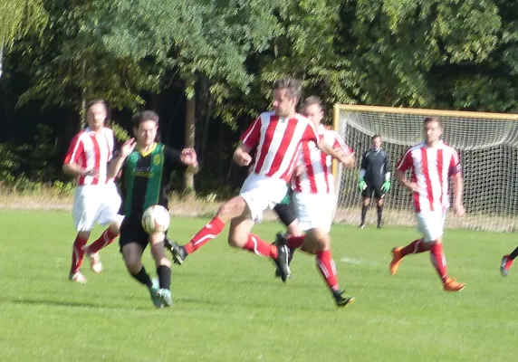 08.09.2018 SV Hellas 09 vs. SV Seegrehna