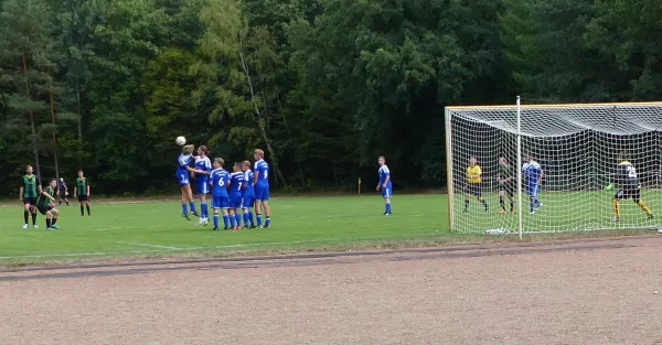 01.09.2018 SV Hellas 09 vs. Blau-Weiß 90 Prettin