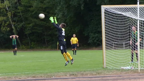 01.09.2018 SV Hellas 09 vs. Blau-Weiß 90 Prettin