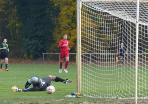 03.11.2018 SV Hellas 09 vs. Einheit Wittenberg