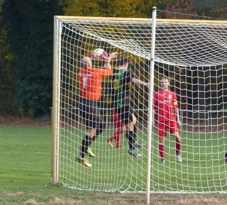 03.11.2018 SV Hellas 09 vs. Einheit Wittenberg