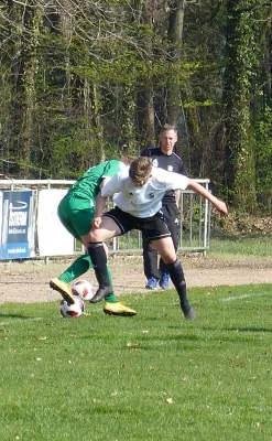 06.04.2019 SV Hellas 09 vs. SV Allemannia Jessen