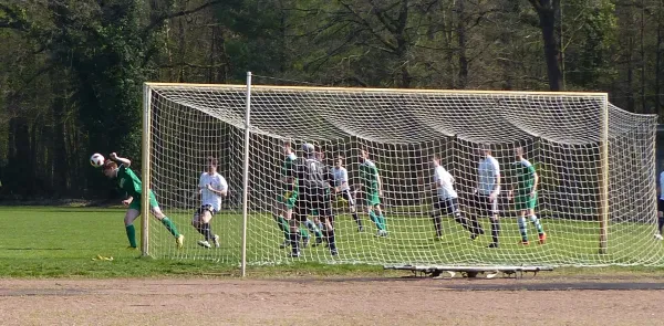 06.04.2019 SV Hellas 09 vs. SV Allemannia Jessen