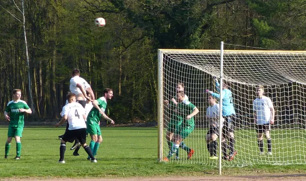06.04.2019 SV Hellas 09 vs. SV Allemannia Jessen