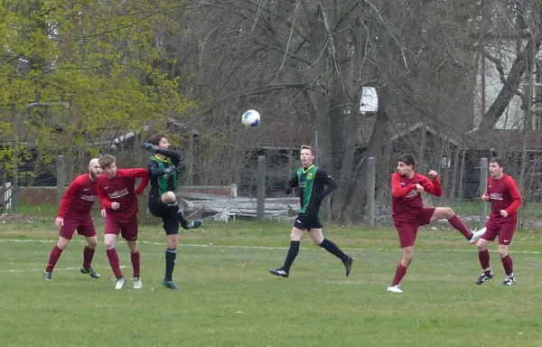 13.04.2019 FSV Bad Schmiedeberg vs. SV Hellas 09