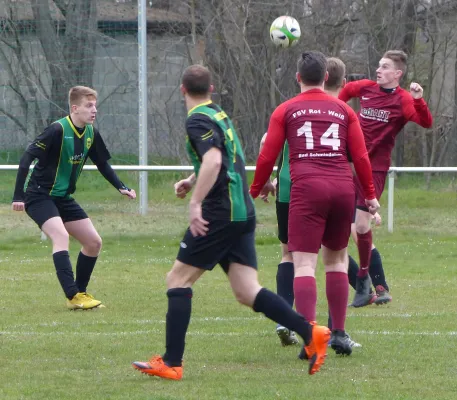 13.04.2019 FSV Bad Schmiedeberg vs. SV Hellas 09