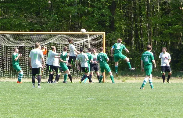 27.04.2019 SV Hellas 09 vs. VfB Zahna 1921 e.V.