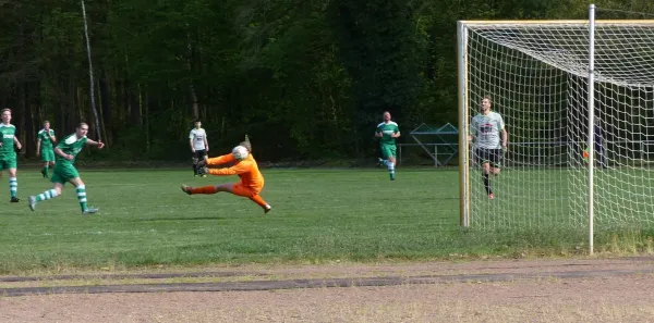 27.04.2019 SV Hellas 09 vs. VfB Zahna 1921 e.V.