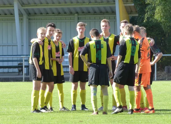 01.09.2018 JSG Heidekicker vs. BSV Halle-Ammendorf