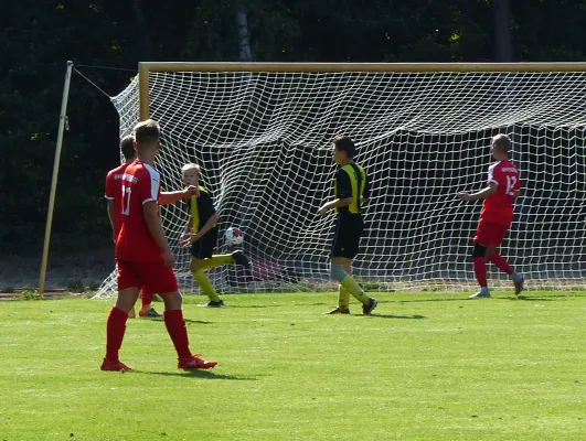 01.09.2018 JSG Heidekicker vs. BSV Halle-Ammendorf