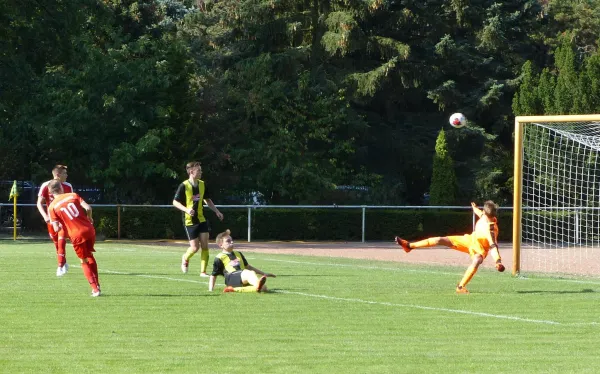 01.09.2018 JSG Heidekicker vs. BSV Halle-Ammendorf