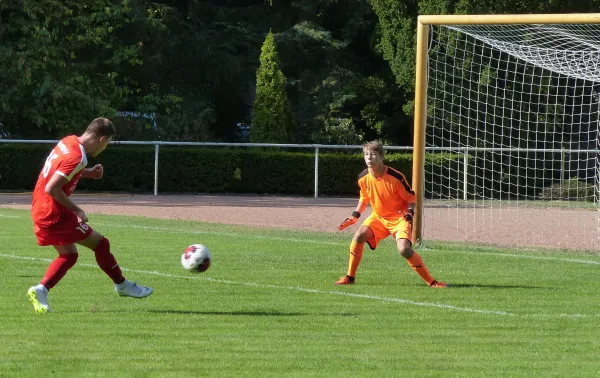 01.09.2018 JSG Heidekicker vs. BSV Halle-Ammendorf