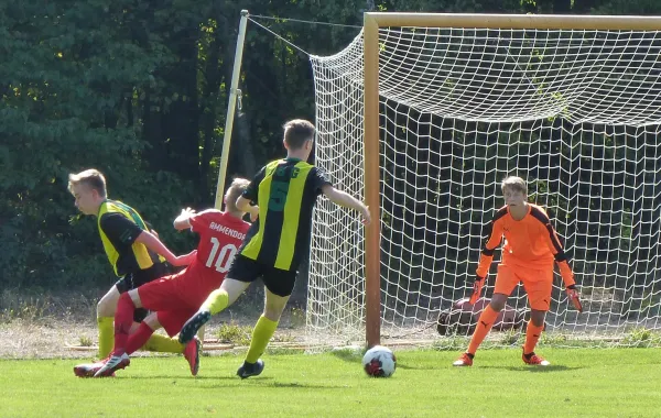 01.09.2018 JSG Heidekicker vs. BSV Halle-Ammendorf