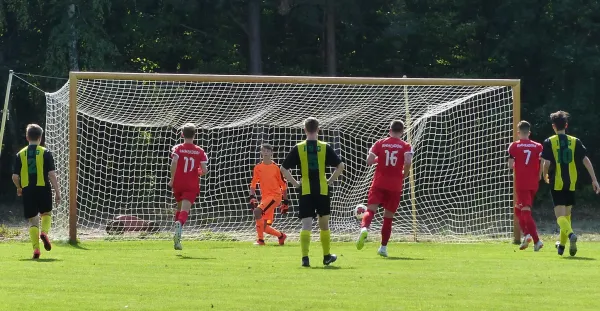 01.09.2018 JSG Heidekicker vs. BSV Halle-Ammendorf