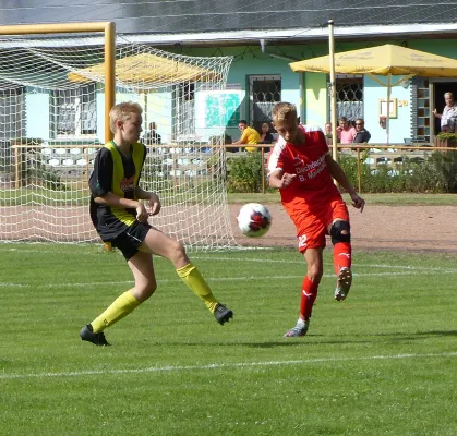 01.09.2018 JSG Heidekicker vs. BSV Halle-Ammendorf