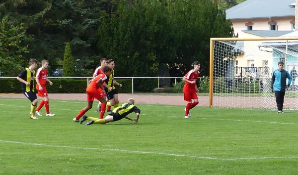 01.09.2018 JSG Heidekicker vs. BSV Halle-Ammendorf