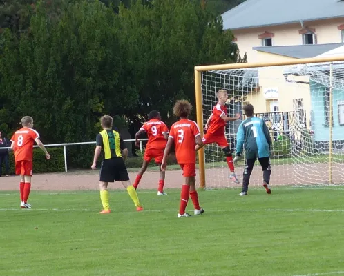 01.09.2018 JSG Heidekicker vs. BSV Halle-Ammendorf