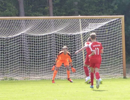 01.09.2018 JSG Heidekicker vs. BSV Halle-Ammendorf