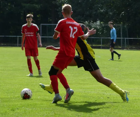 01.09.2018 JSG Heidekicker vs. BSV Halle-Ammendorf